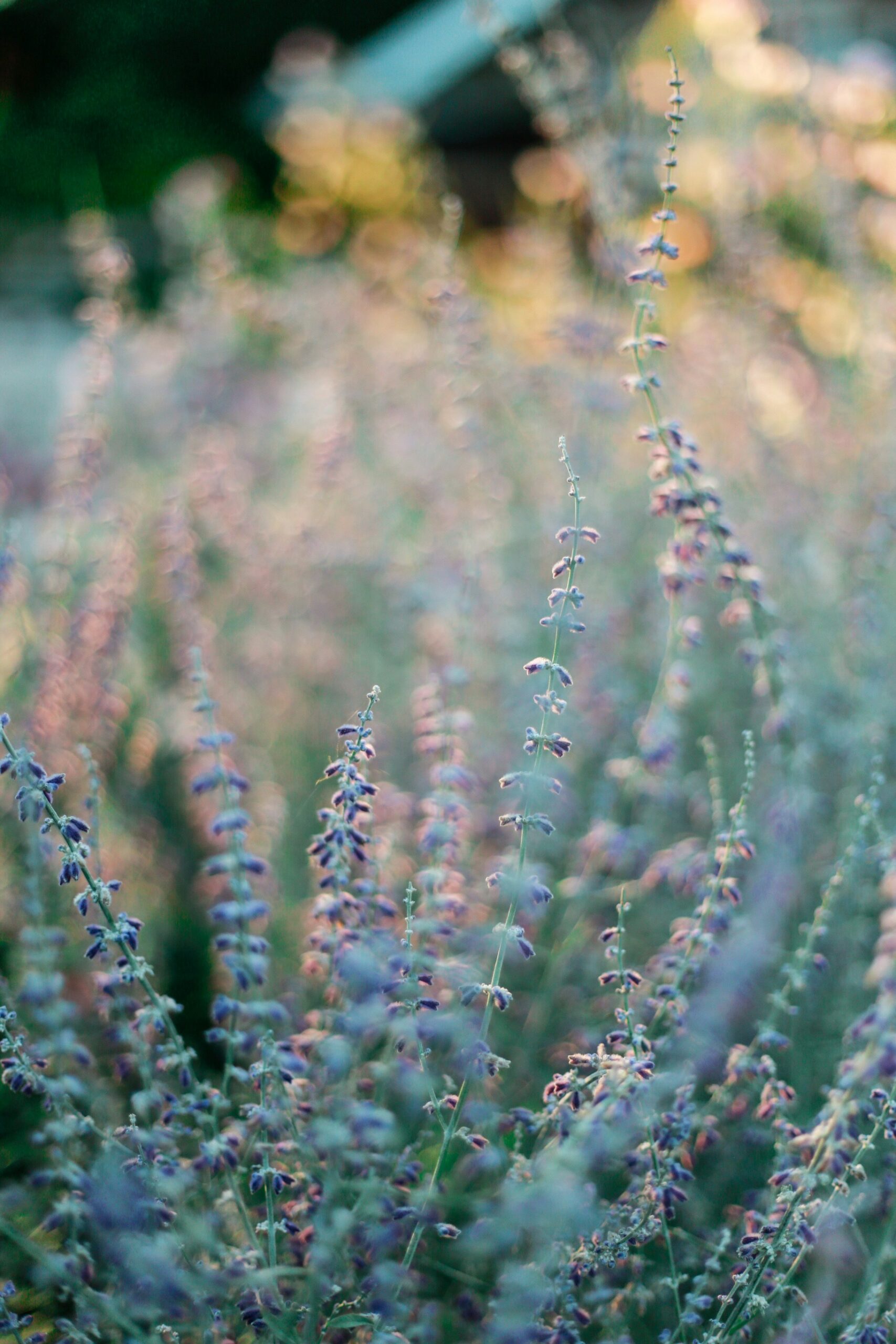ornella-binni-C4X2hE91dow-unsplash photography of green leaf